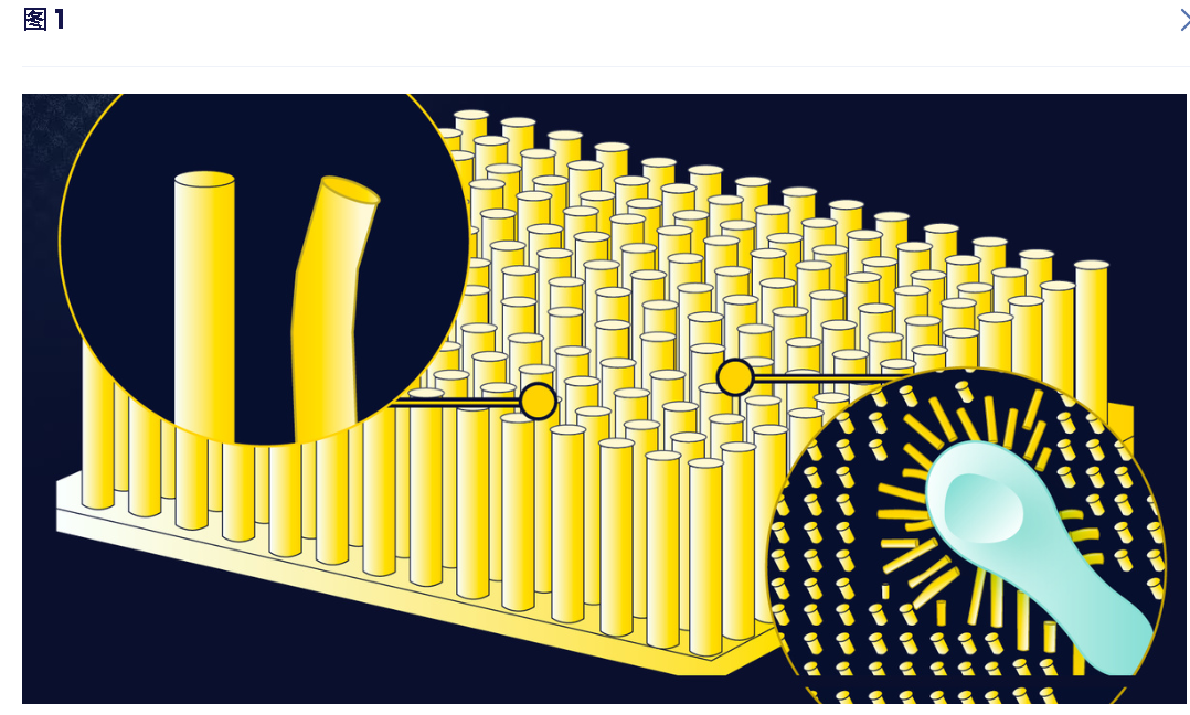 1750232564959008049.png image.png