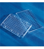 3596 Costar CellBIND 96孔细胞培养板