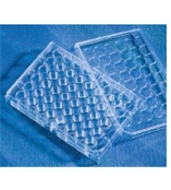 Corning CellBIND Costar 48孔细胞培养板3548