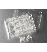 康宁12孔细胞培养小室