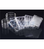 Nunc细胞培养皿（60mm）