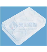 Nunc6 孔板细胞培养皿