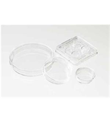 Nunc-中心孔培养皿/ICSI培养皿