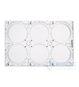 艾本德细胞培养板，6 孔