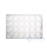 细胞培养板，24 孔