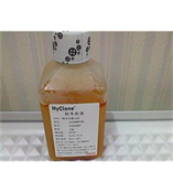 HyClone 胎牛血清（活性碳处理）30068.03