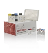 赛默飞 IFN gamma人ELISA试剂盒 BMS228HS