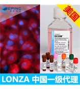 LONZA人原代支气管上皮细胞