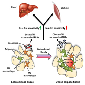 1512026383191092.png 20170928213151193.png