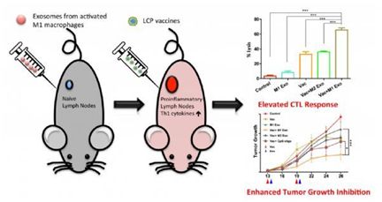 1512026468747180.jpeg 20170928213704989.png