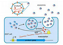 1512969148912858.jpeg th (2).jpg