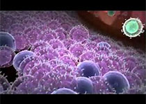 1512969238628500.jpeg fgfdahdfj.jpg