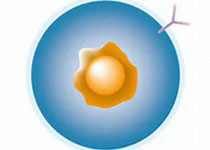 1513592002274945.jpeg dagj.jpg