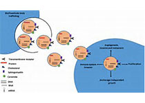 1514180094178900.jpeg th (5).jpg