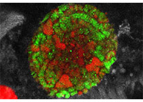 1514180377570138.jpeg 497.jpg