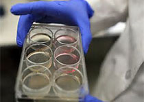 1514858824757785.jpeg fasgaerhgr.jpg