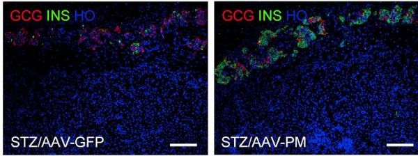 1515385321780794.jpeg 20180107175634390_s.jpg