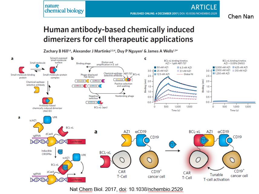 1516158624990071.jpeg antibody.jpg