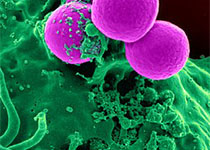 1516767996277282.jpeg gadgqer.jpg