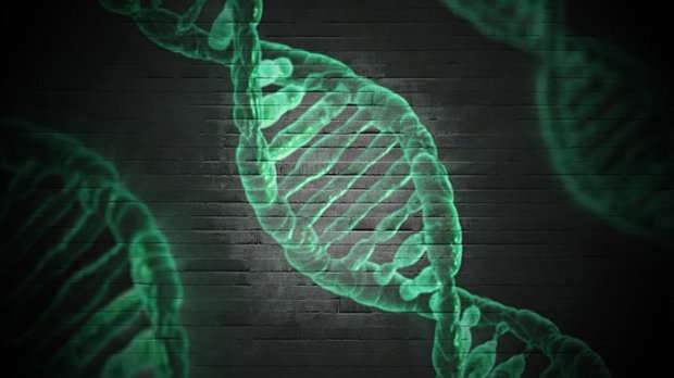 1518141054787192.jpeg 0209.jpg