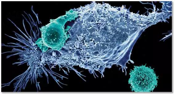 1520397210922641.jpeg xi.jpg