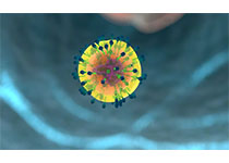 1520565256656098.jpeg t-helper-cell-1132182__340.jpg