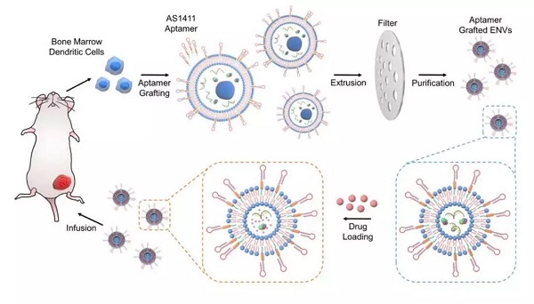 1520916140269993.jpeg 1520910079528.jpg