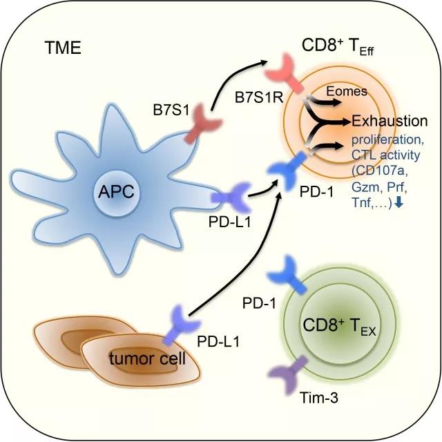 1522916021163958.jpeg 微信图片_20180405161155.jpg