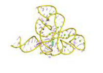 1531358911752767.jpeg agsh.jpg