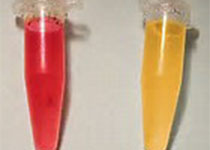 1545194477927506.jpeg dafg.jpg