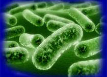 1601181799324974.jpeg agfag.jpg